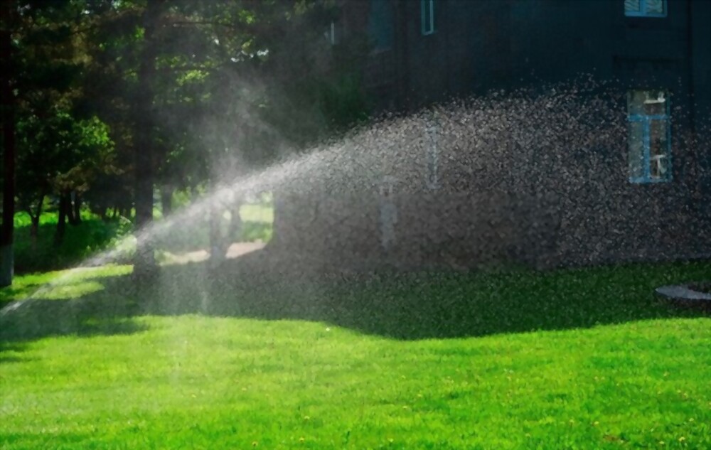 Ensuring Your Property is Well-Watered This Spring!